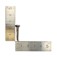 TORNILLO PARA SOPAPA AMERICANA 3/16" x 1" (x 10u.)